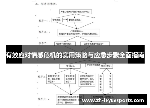 有效应对情感危机的实用策略与应急步骤全面指南