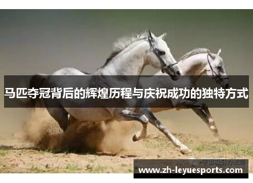 马匹夺冠背后的辉煌历程与庆祝成功的独特方式