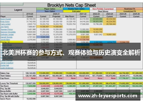 北美洲杯赛的参与方式、观赛体验与历史演变全解析