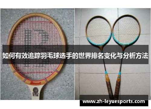 如何有效追踪羽毛球选手的世界排名变化与分析方法