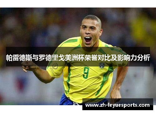 帕雷德斯与罗德里戈美洲杯荣誉对比及影响力分析